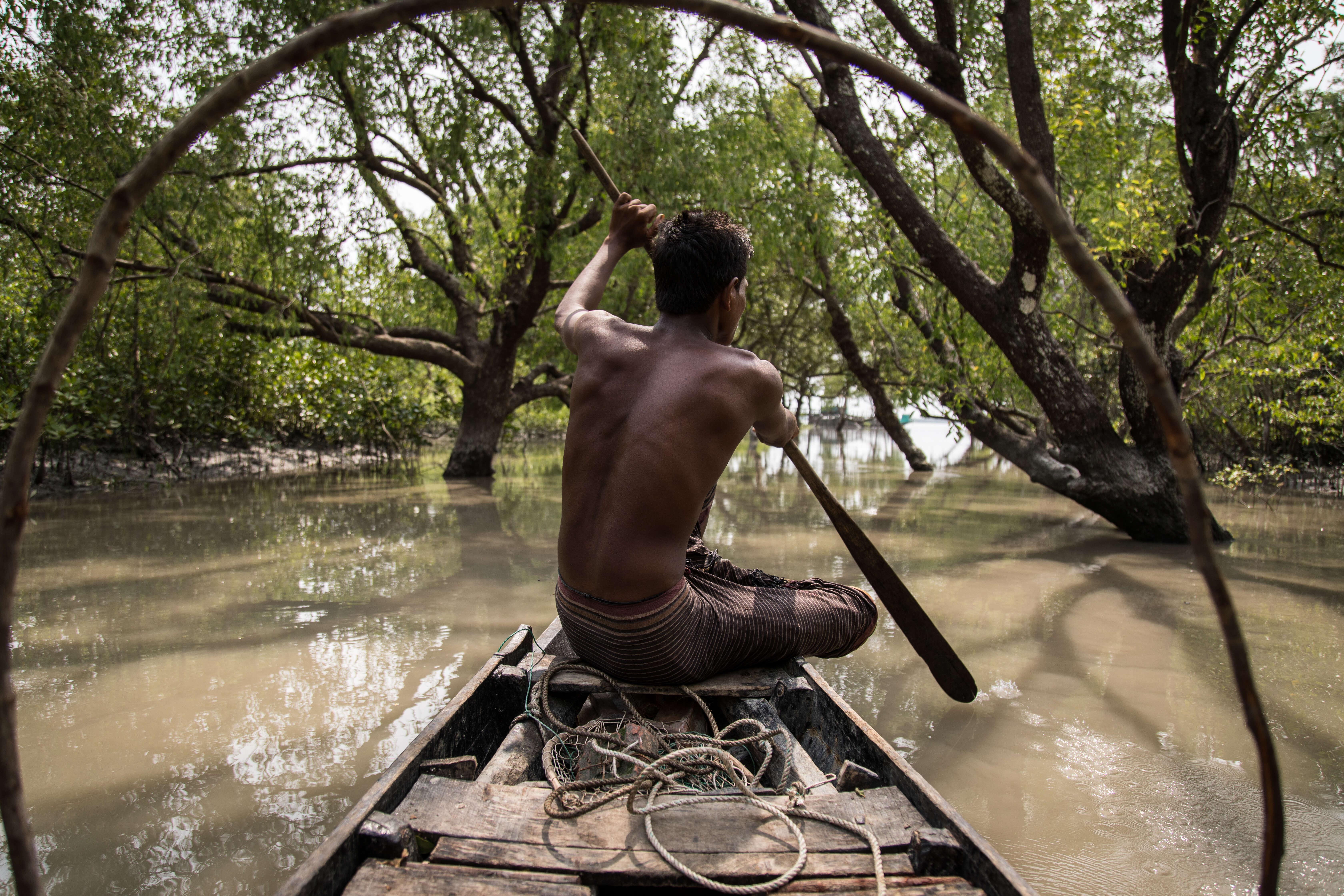 Mangroves matter for people and planet