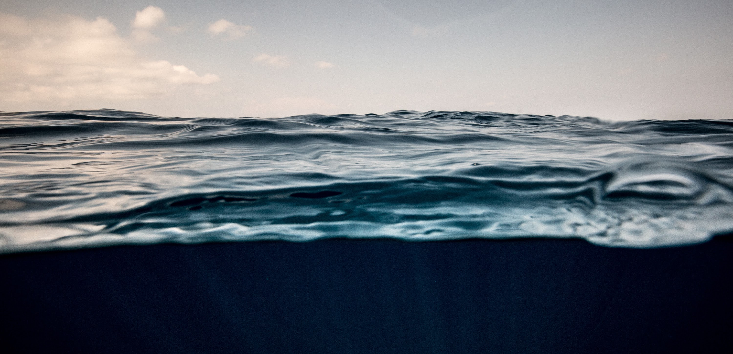 Blauer Kohlenstoff: Die Rolle der Meere im Kampf gegen die Klimakrise