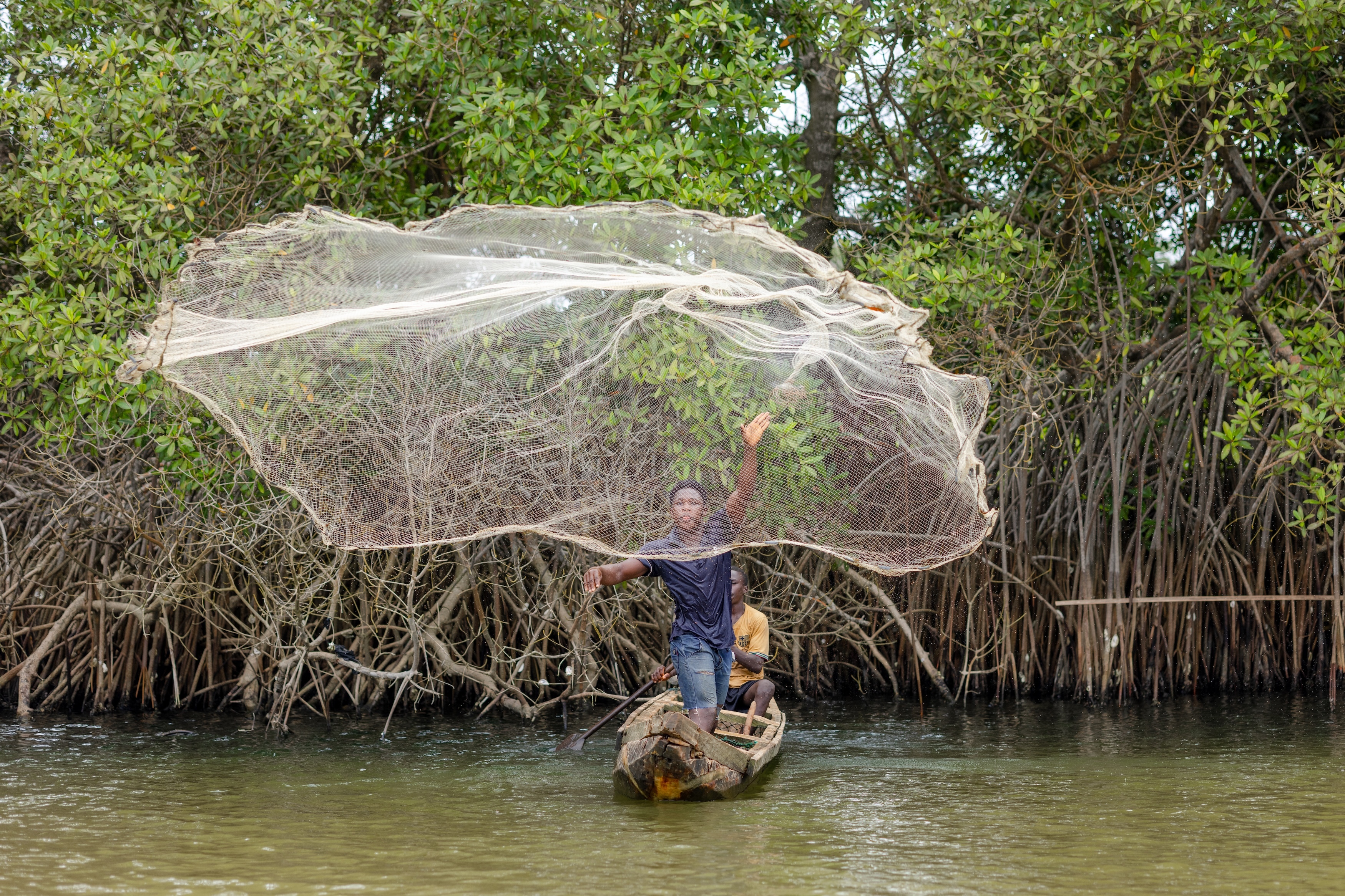 Beneath the Canopy: New film reveals the power of mangrove restoration in Ghana