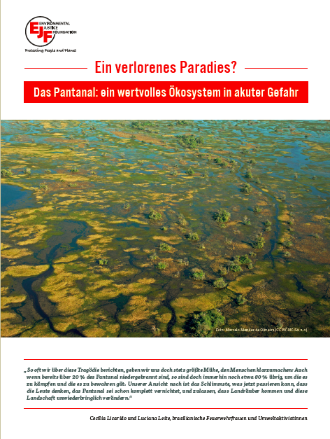 Ein verlorenes Paradies? Das Pantanal: ein wertvolles Ökosystem in akuter Gefahr