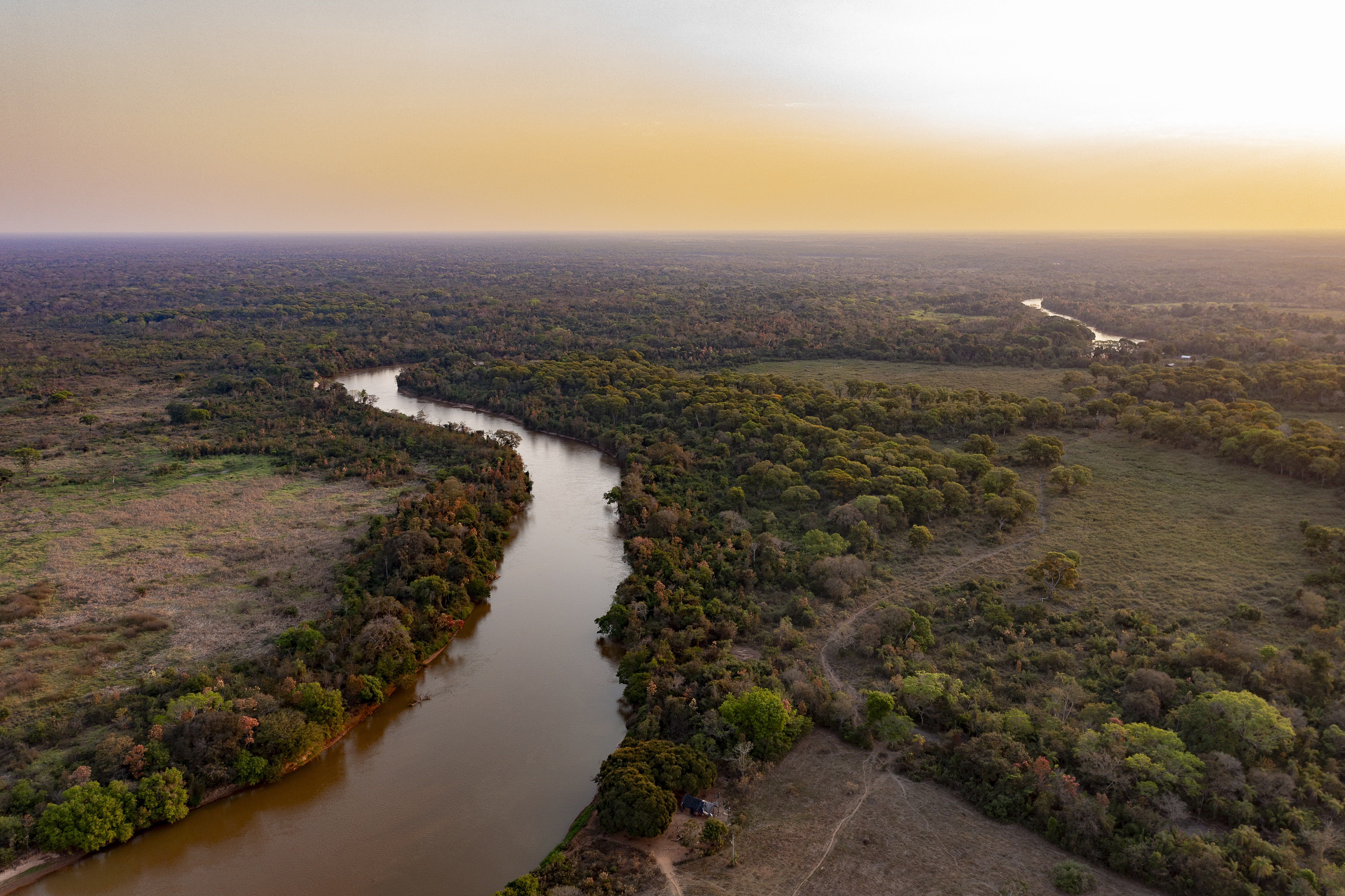 Twenty Years After Francisco Anselmo’s Sacrifice, Environmental Leaders Call for Urgent Action to Save the Pantanal at COP30