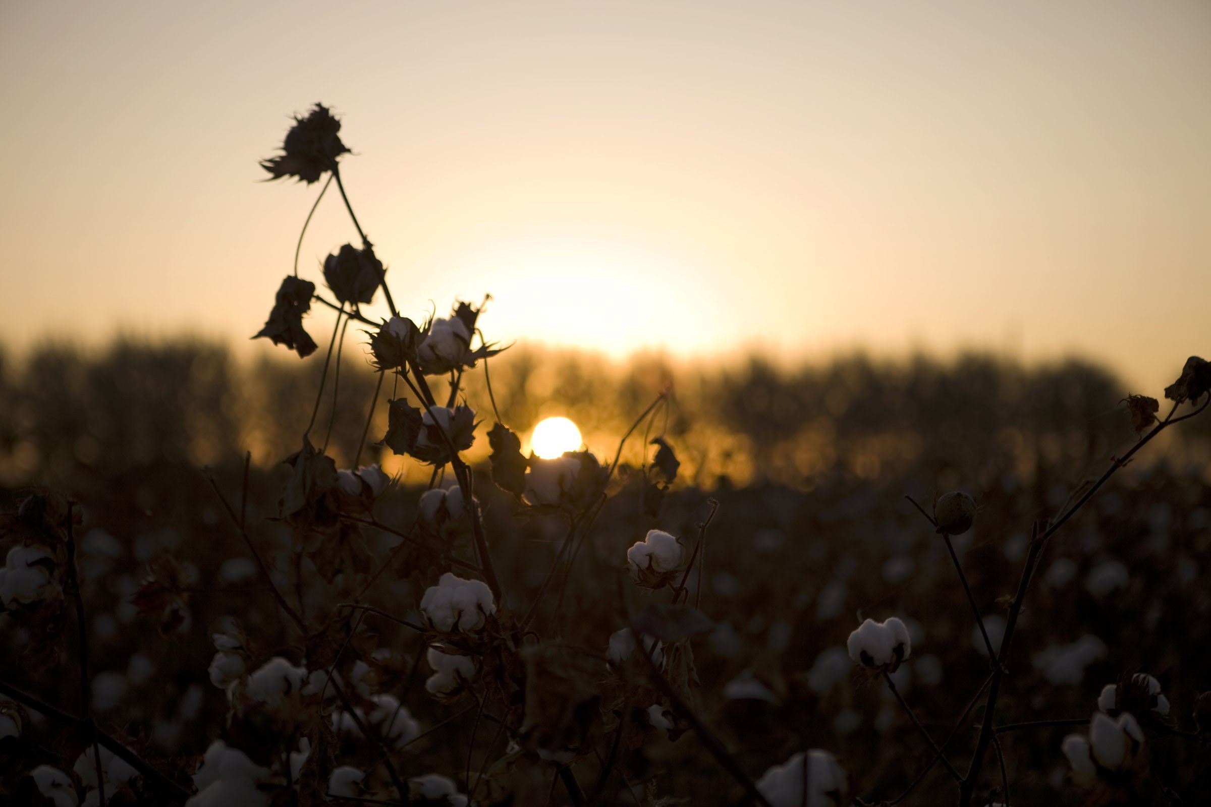 Retailers and governments must fight forced labour in Xinjiang