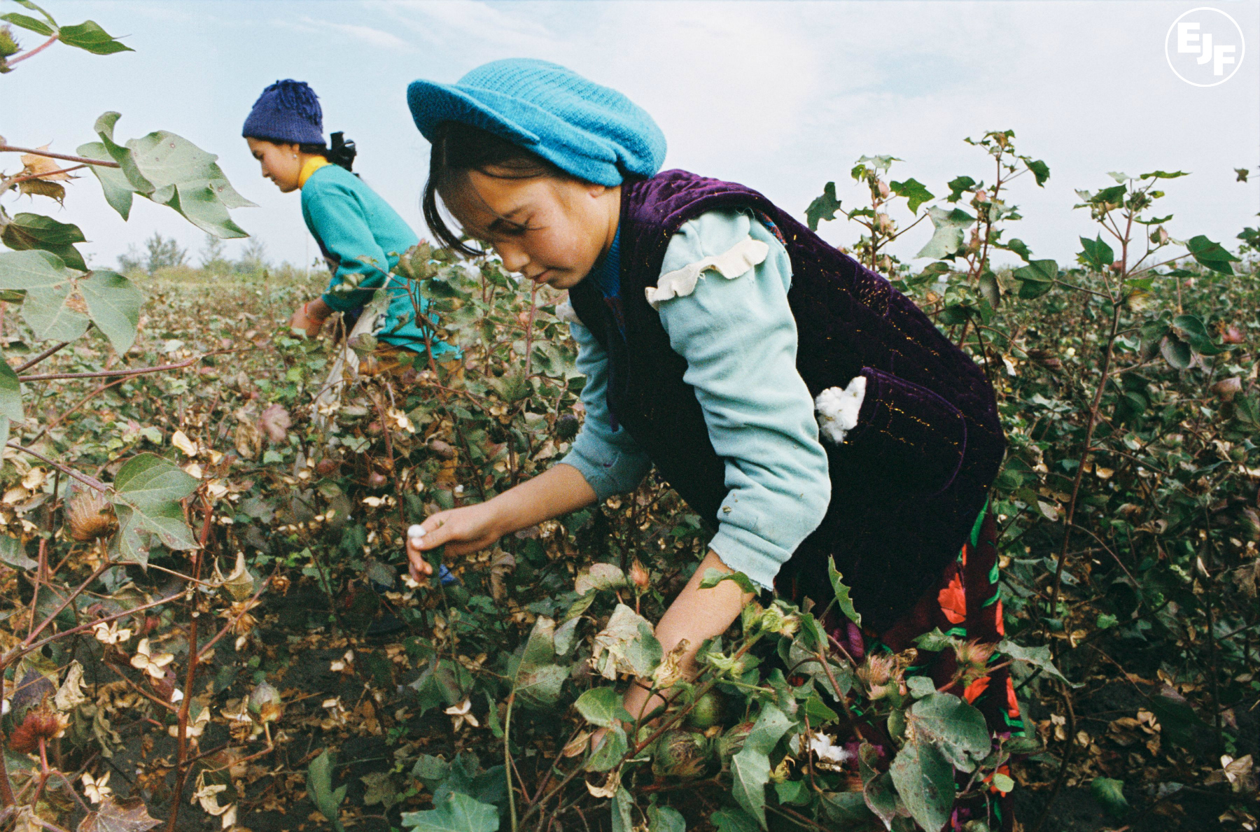 Tesco takes a stand against forced labour in Uzbek cotton harvest
