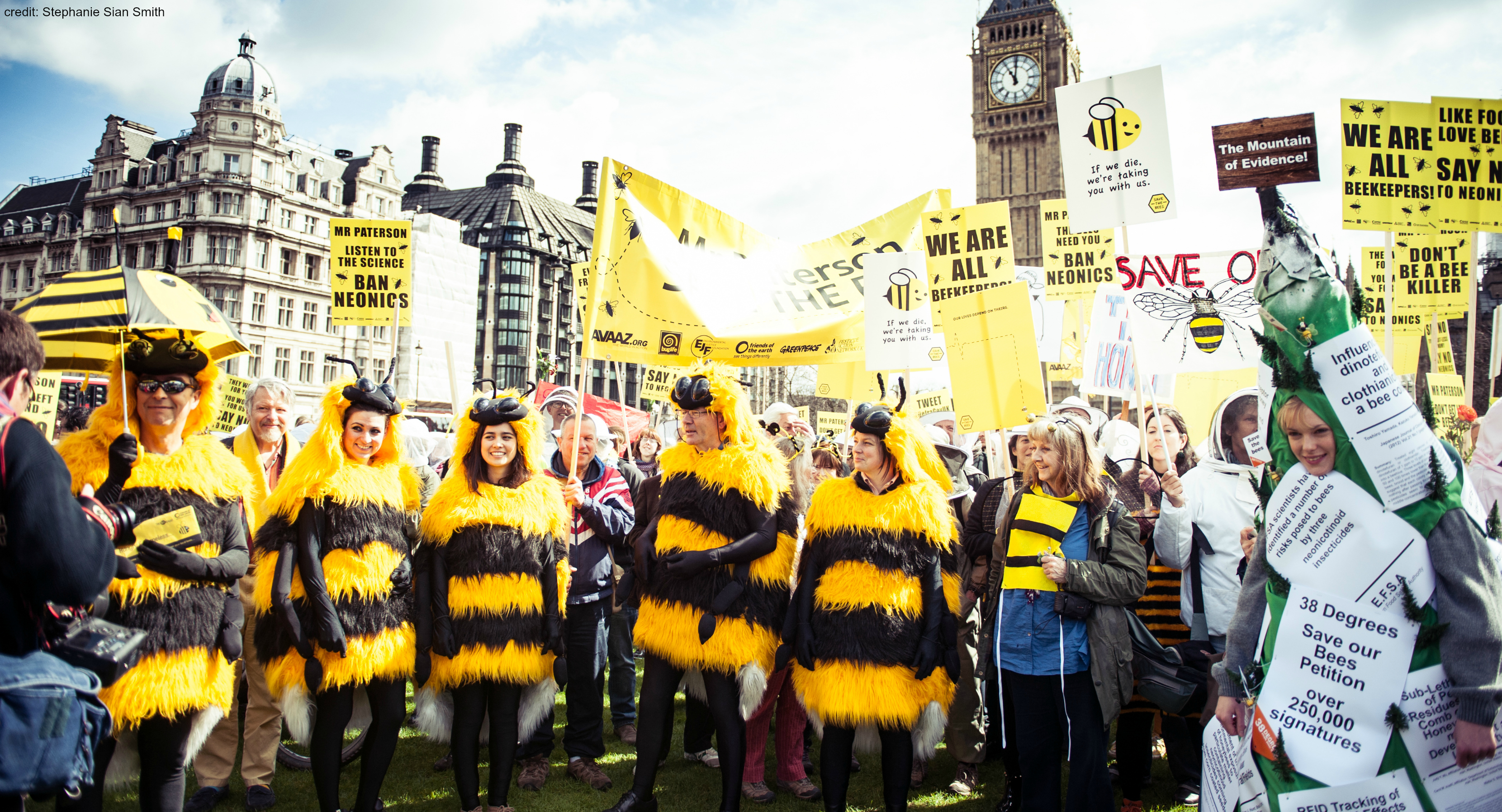 Bee Coalition questions strength of UK National Pollinator Strategy