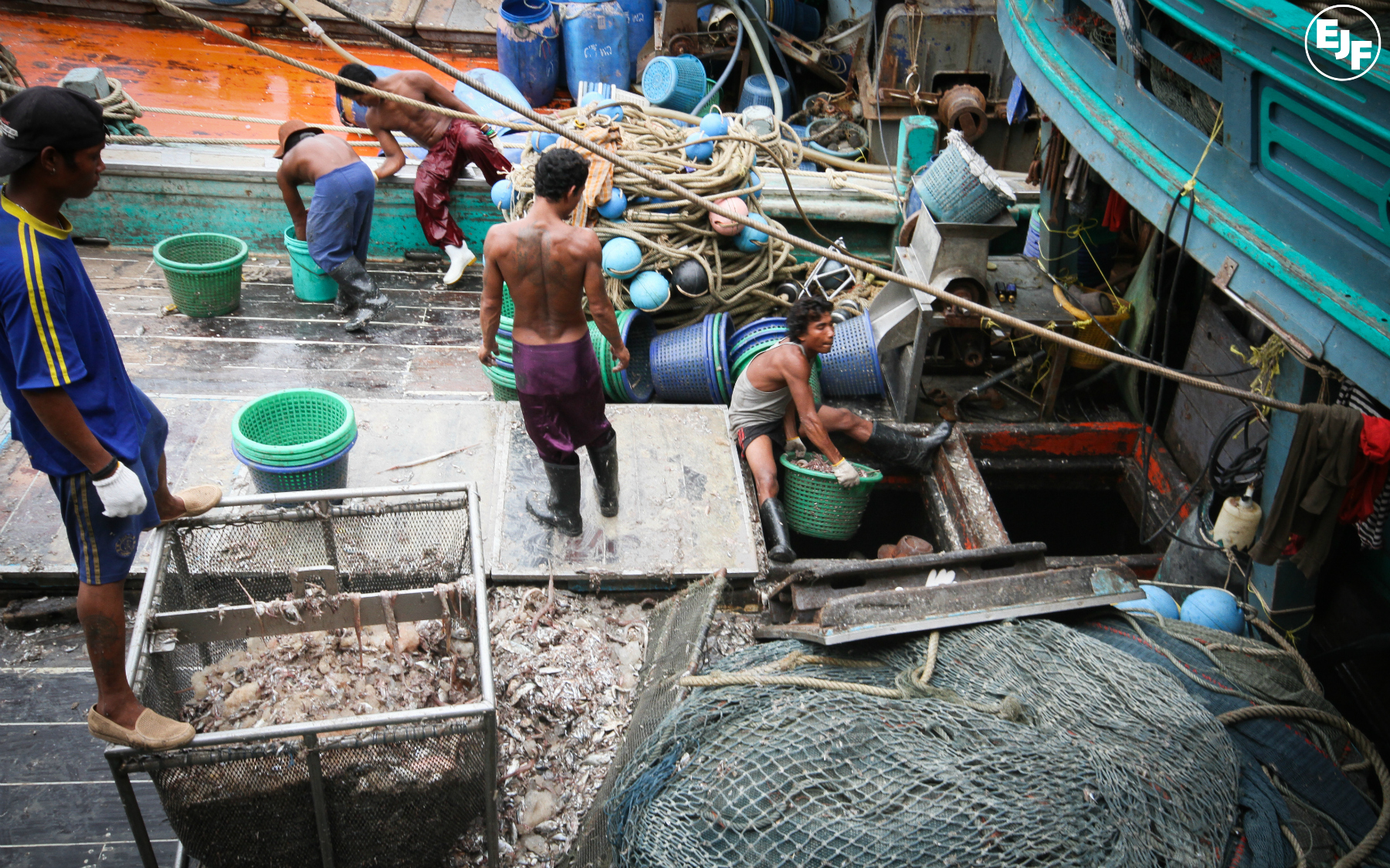 EJF investigation reveals human rights abuses in Thailand's fishing industry