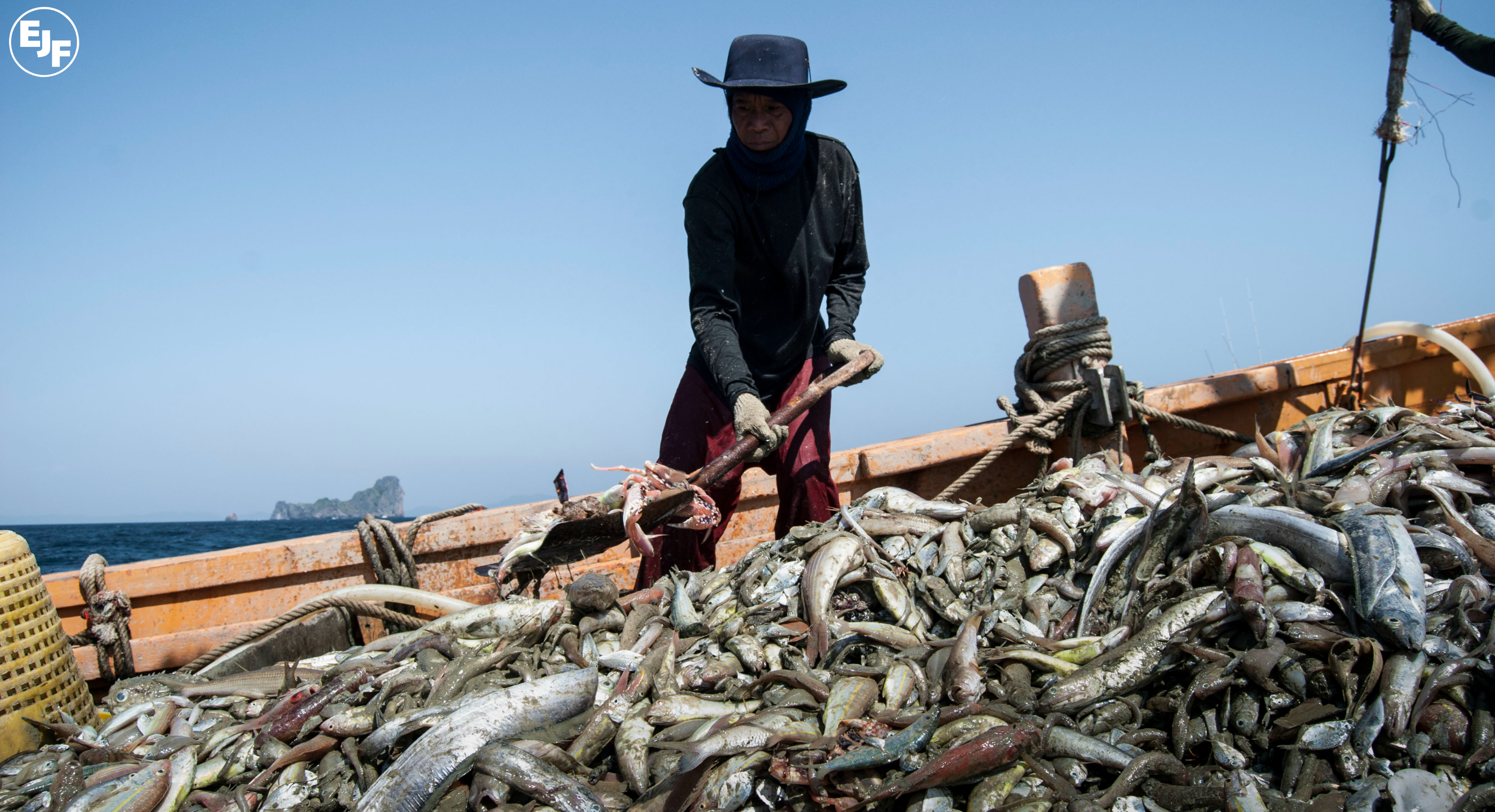 EJF presents updates on anti-slavery work at seafood ethics event