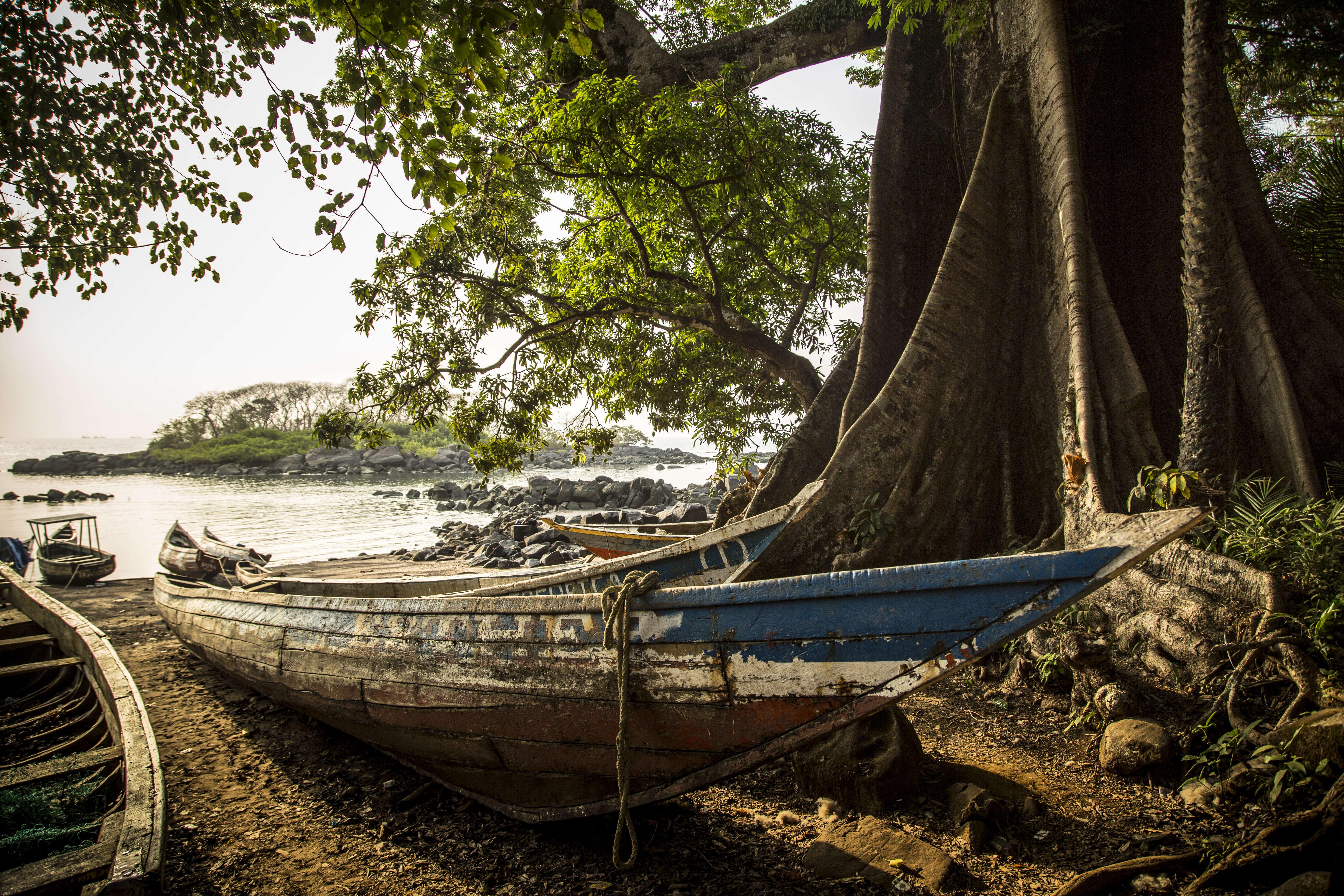 Community spirit and co-management: EJF in Sierra Leone