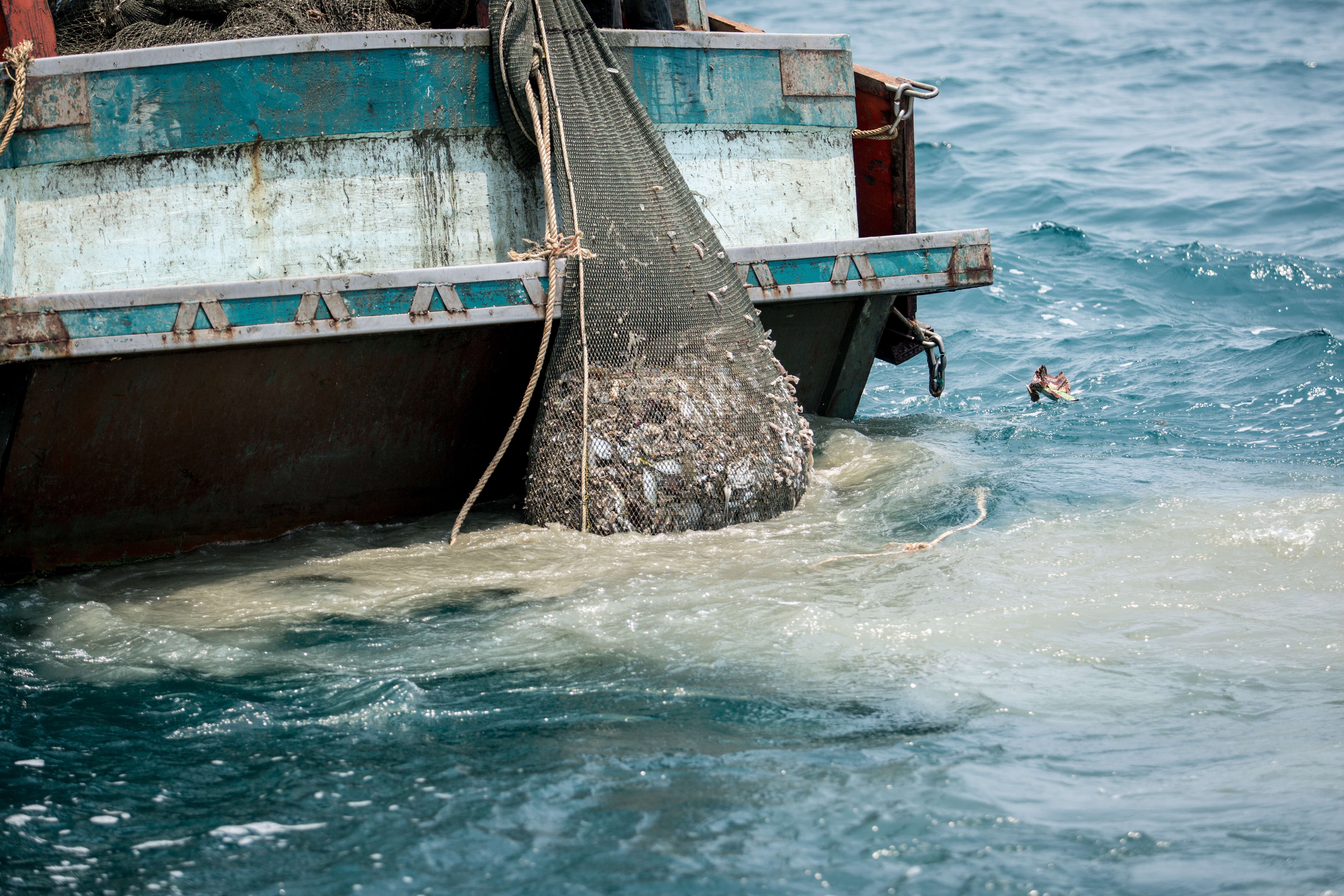 Die dunkle Seite der Fischerei: Mehr Transparenz kann Meere und Menschen schützen