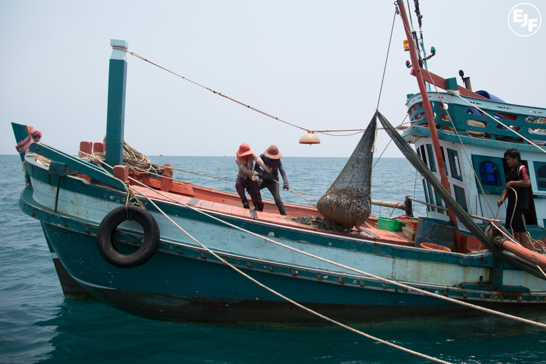 New industry guidance helps French companies and retailers to avoid illegal fishing