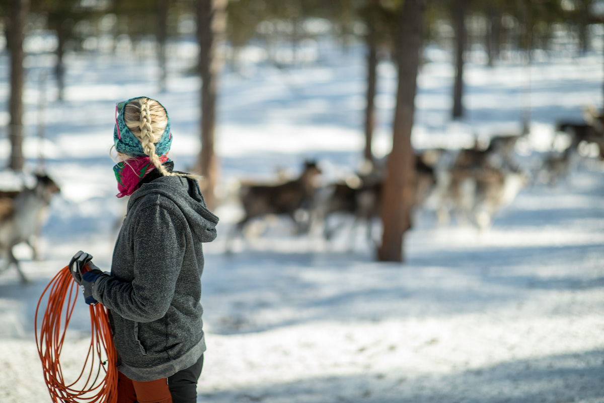 Show solidarity with the Sami to combat climate change