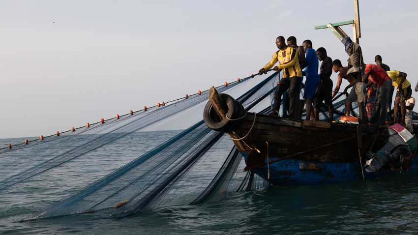To save fish stocks Ghana must enshrine transparency in law