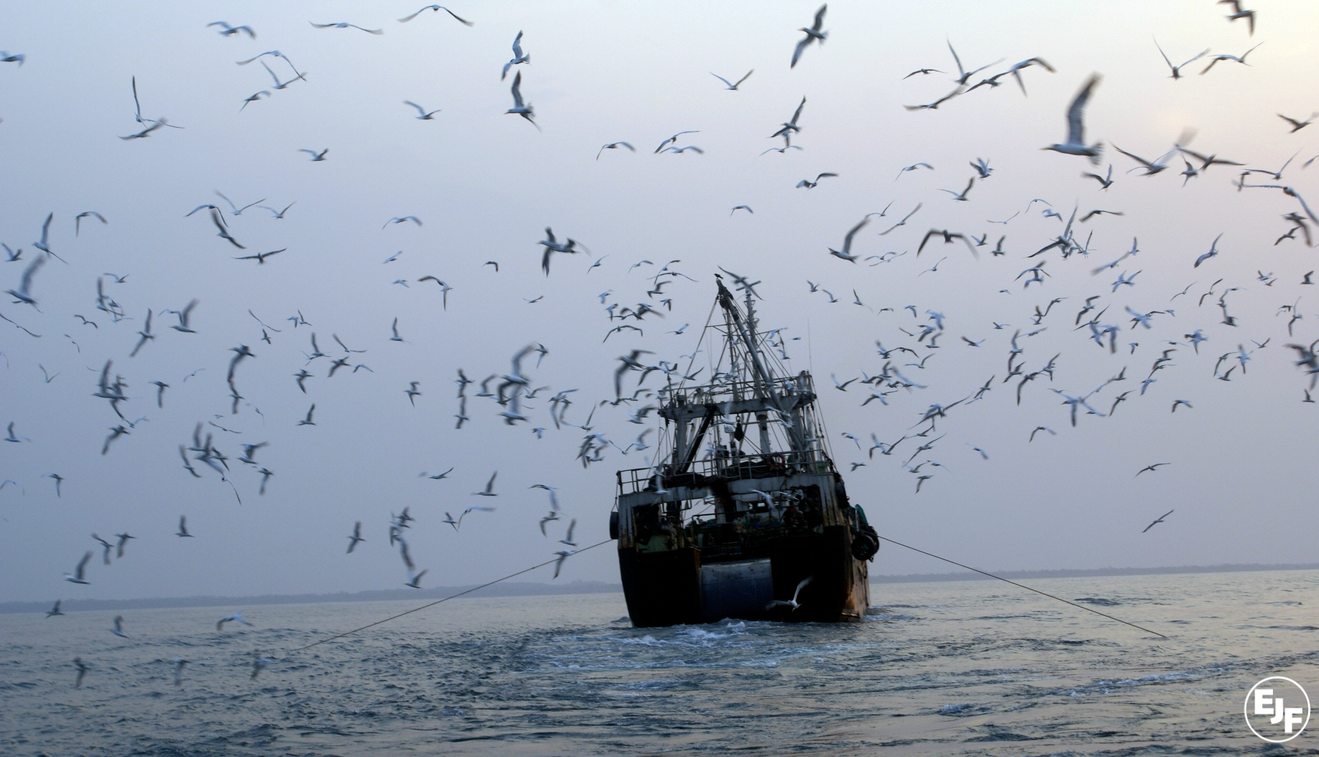 EJF presents 10,000 signature petition to the UN calling for a Global Record on Fishing Vessels.