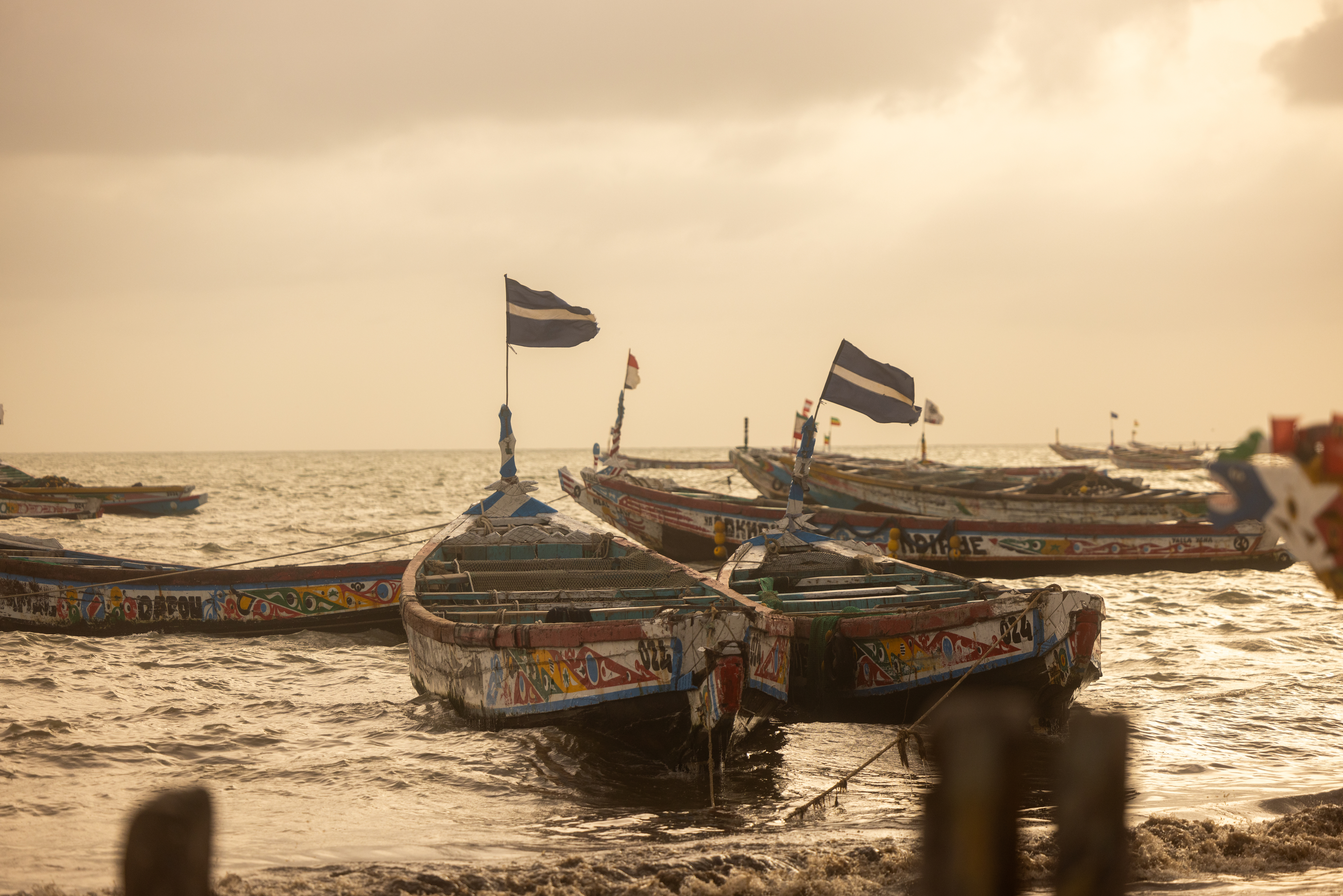 ‘The Sea was Sold’: Fisheries crisis in Senegal drives forced migration to Europe