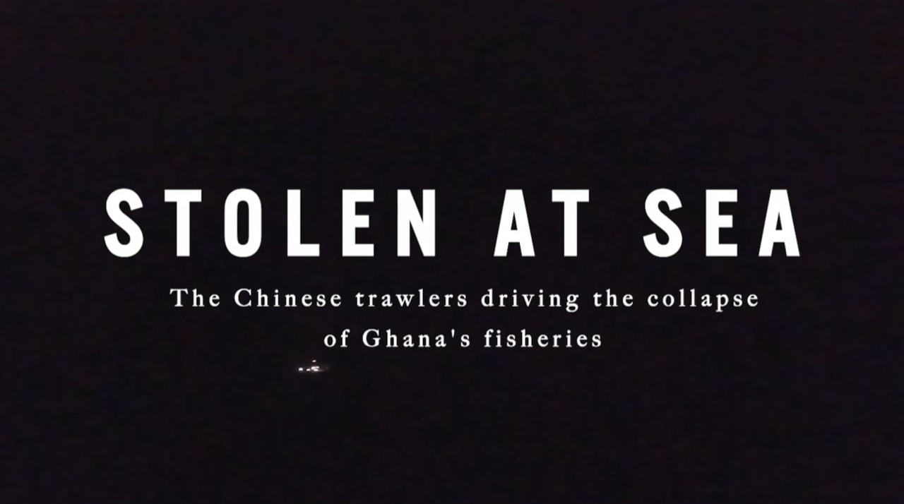 Stolen at Sea: The Chinese Trawlers Driving the Collapse of Ghana’s Fisheries