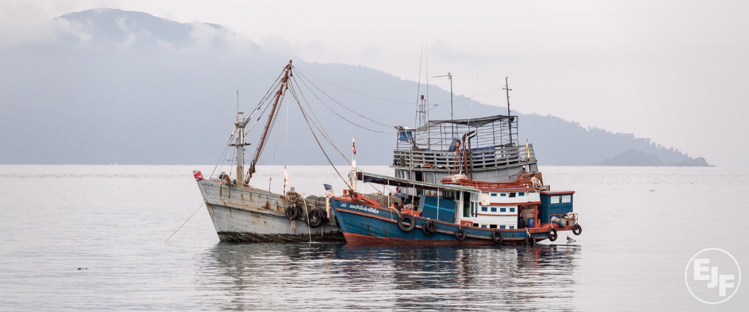 Risikoprüfung von Fischerei-Lieferketten: Ratgeber veröffentlicht