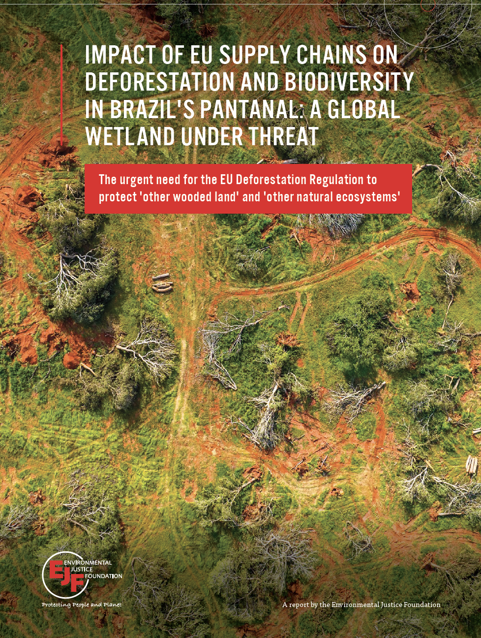 The impact of EU supply chains on deforestation and biodiversity in Brazil's Pantanal: a global wetland under threat