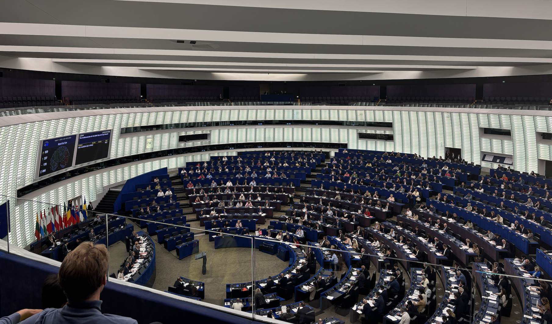 “Political will alone won’t save the Baltic Sea”: EJF urges urgent action after European Parliament vote