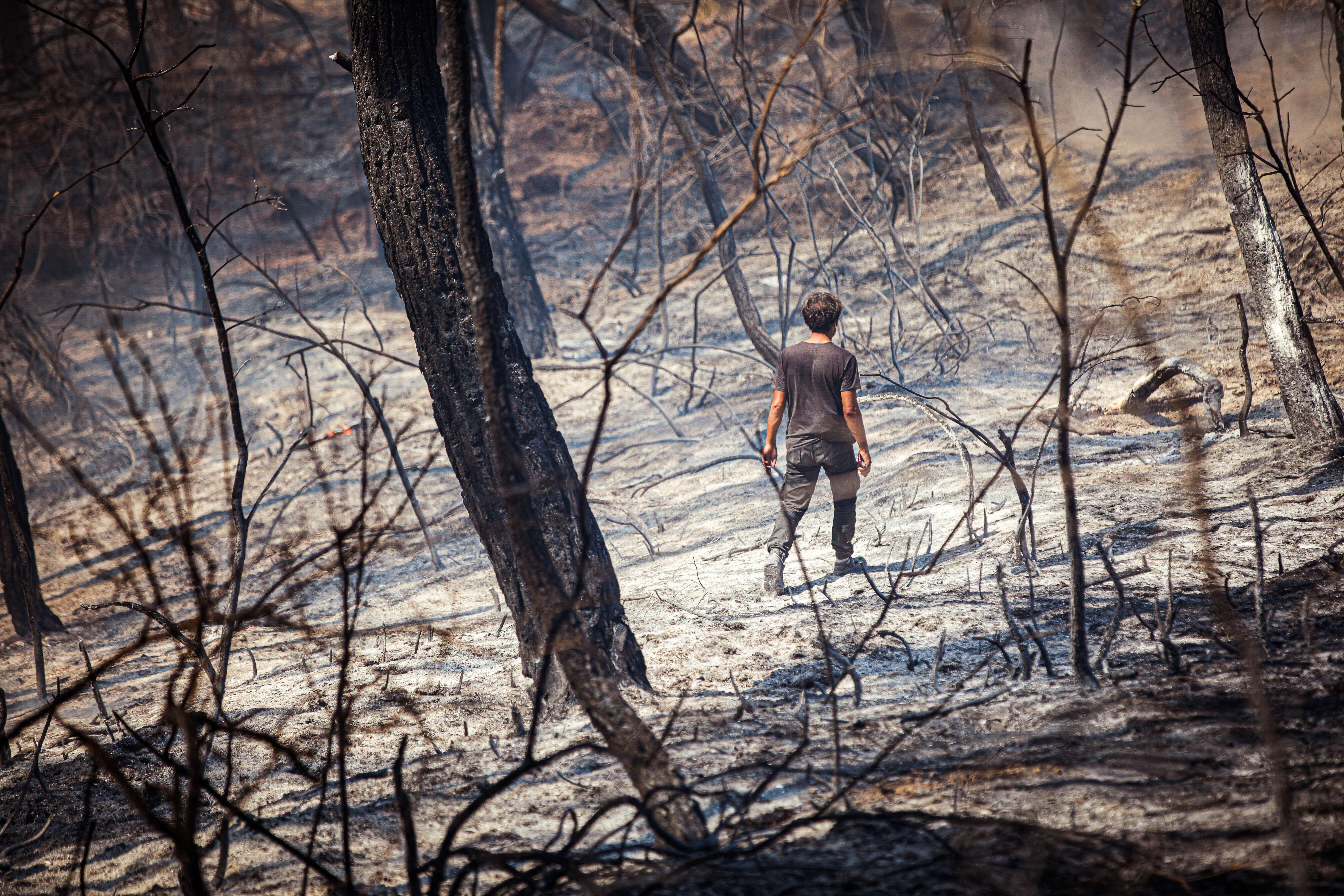 Ravaged by fire: The victims of Turkey’s fire season
