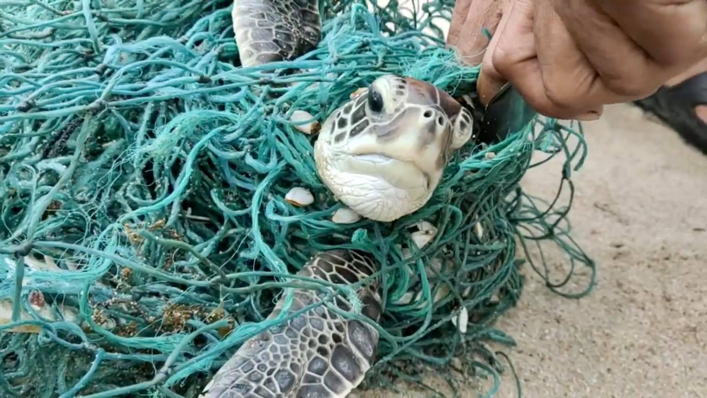 Marine plastic pollution with discarded plastic rope and