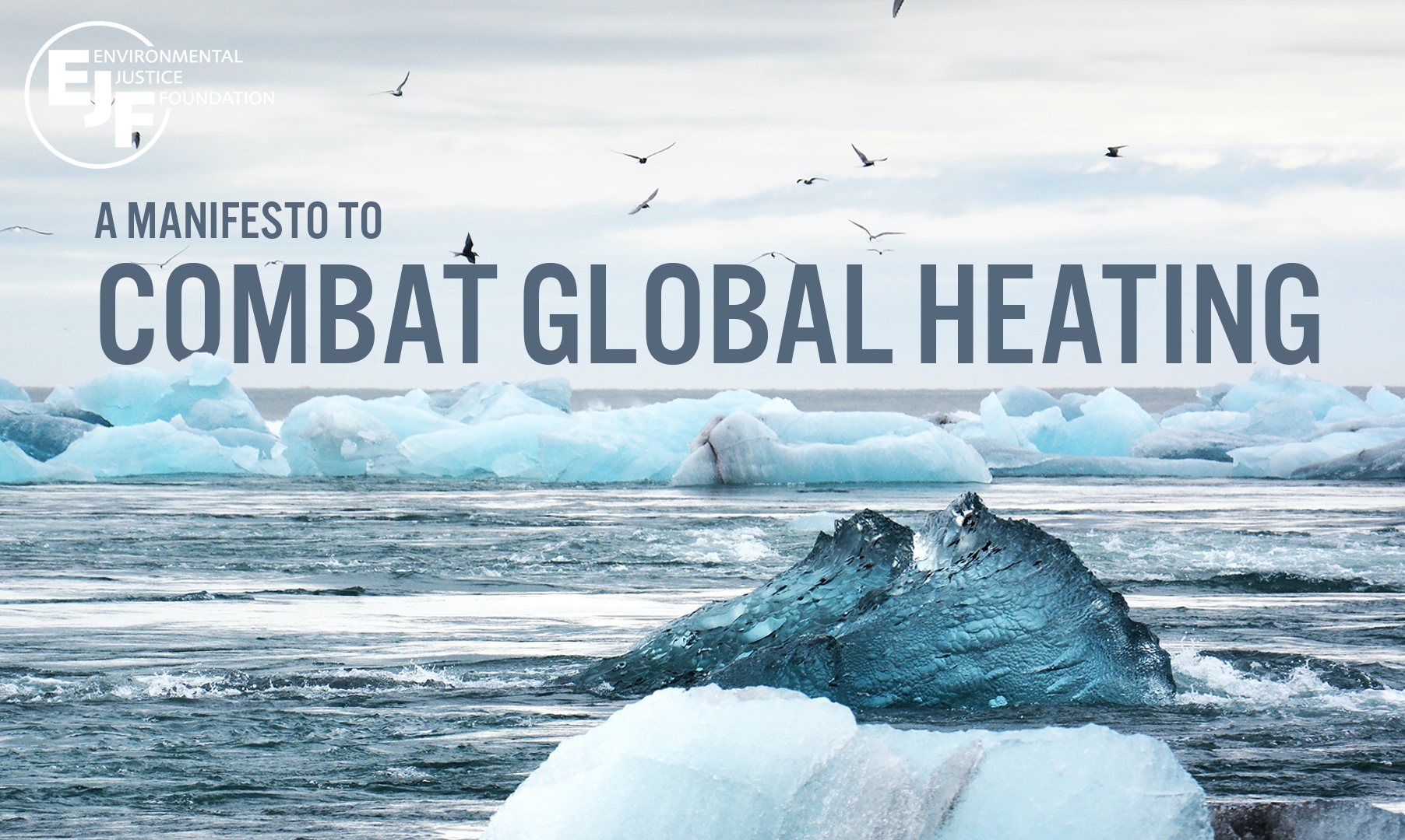 Manifesto to Combat Global Heating