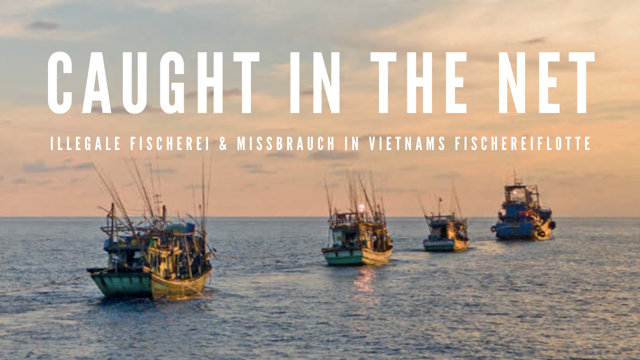 Caught in the Net: Illegale Fischerei & Missbrauch in Vietnams Fischereiflotte