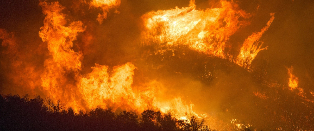 Das Jahr, in dem die Welt Feuer fing