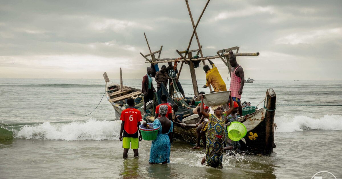 Environmental Justice Foundation Ghana given second ‘yellow card’…