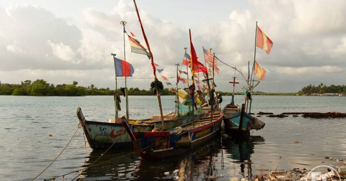 Making Liberia's fishing industry sustainable and efficient - OPEC