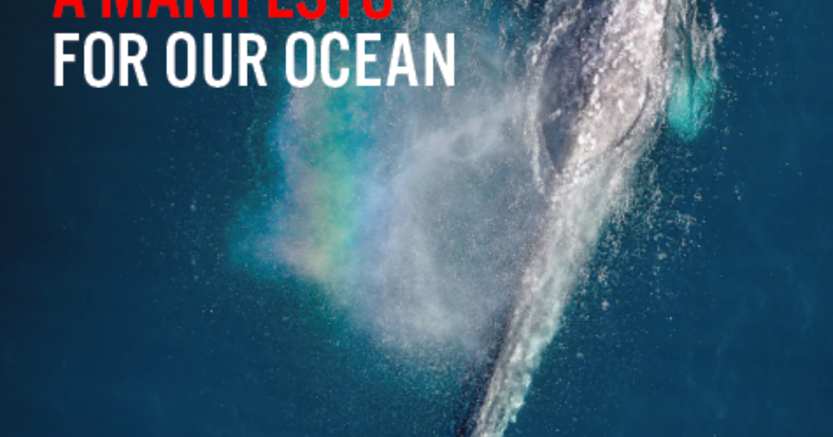 Environmental Justice Foundation | A manifesto for our ocean