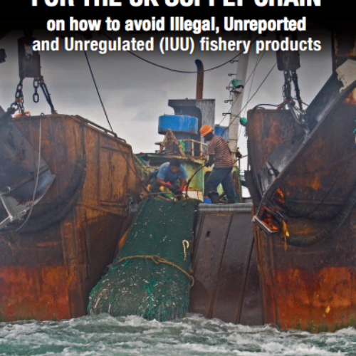 An Advisory Note for the UK Supply Chain on How to Avoid Illegal, Unreported and Unregulated (IUU) Fishery Products