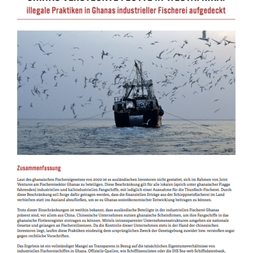 Chinas versteckte Flotte in Westafrika: Illegale Praktiken in Ghanas industrieller Fischerei