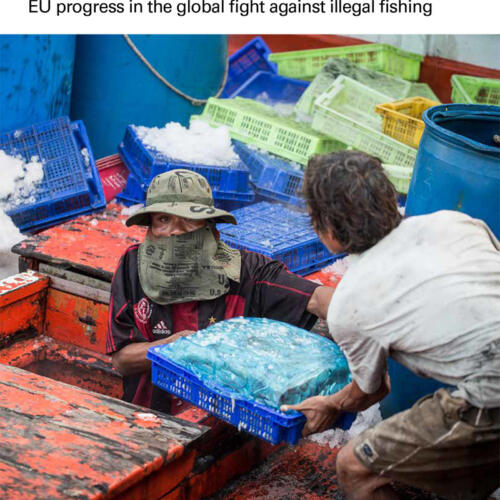 The EU IUU Regulation: Building on success EU progress in the global fight against illegal fishing