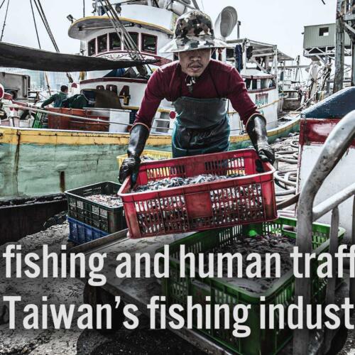 Illegal fishing and human trafficking in Taiwan's fishing industry