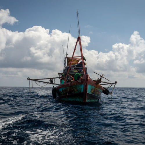 Out of the Shadows: Transparency is vital for legal, sustainable, ethical fisheries