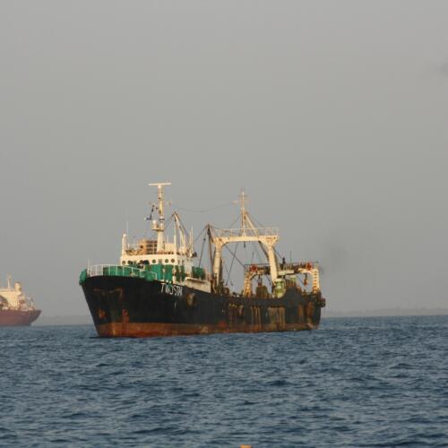 Record-breaking fines imposed on beneficiaries of illegal fishing