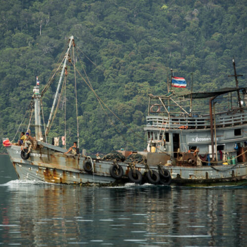 NGOs Support EU’s Warning of Trade Ban Against Thailand for Illegal Fishing