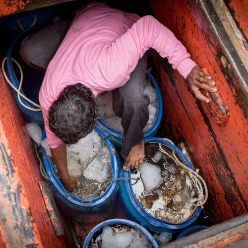 Thailand must stand strong to eliminate human rights abuse from its fishing industry