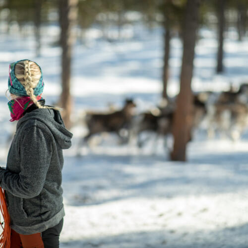 Show solidarity with the Sami to combat climate change