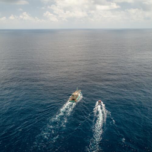 Webinar: The importance and benefits of robust seafood traceability