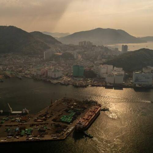 Korean government allows illegally caught fish onto global seafood market
