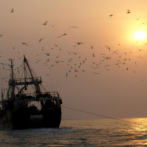 Will Germany maintain the momentum in the fight against pirate fishing and become a role model for the EU?