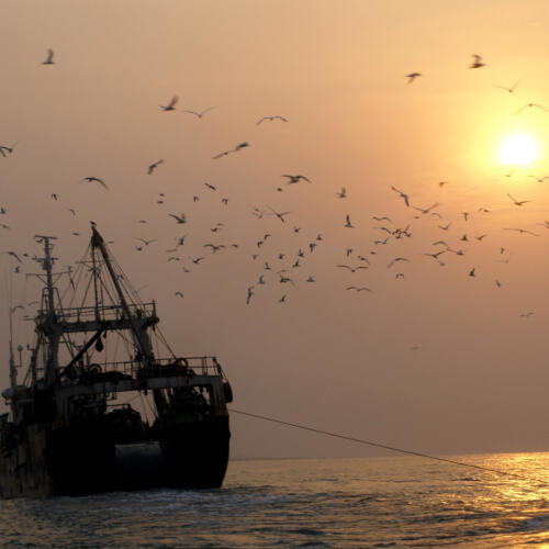 Press Release: Spain announces law to fight pirate fishing