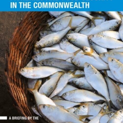 Fisheries and Food Security in the Commonwealth