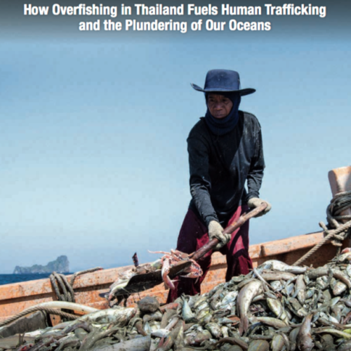 Pirates and Slaves: How overfishing in Thailand fuels human trafficking and the plundering of our oceans