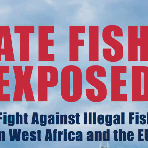 EJF launches new report: Pirate Fishing Exposed