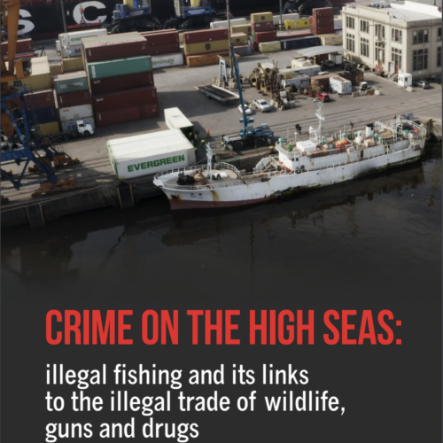 Crime on the high seas: illegal fishing and its links to the illegal trade of wildlife, guns and drugs