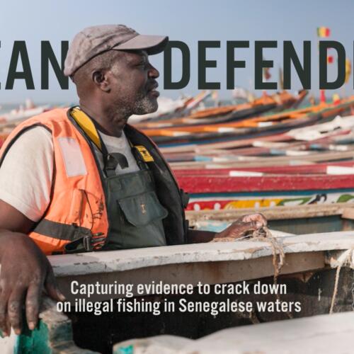 Ocean Defenders: capturing evidence to crack down on illegal fishing in Senegalese waters