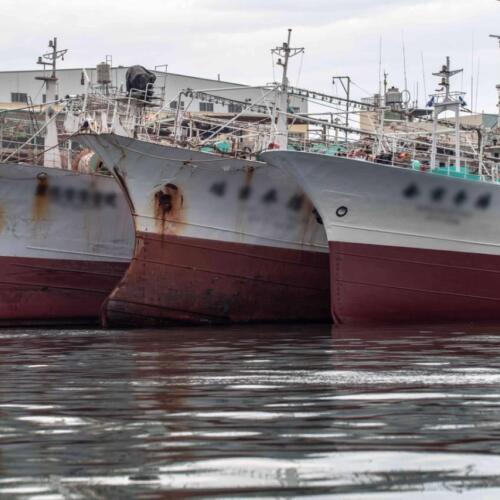 Widespread abuse and illegal fishing as Taiwan’s fleet remains out of control
