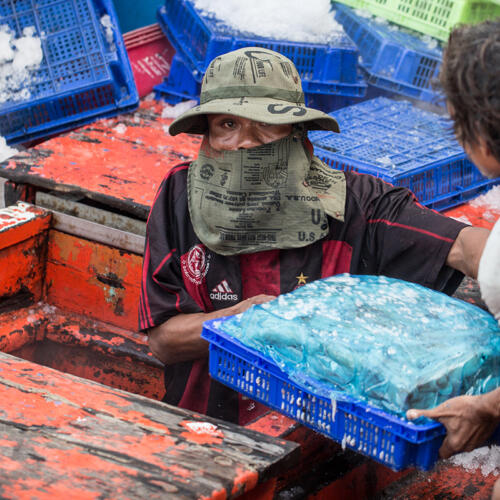 Combating seafood slavery