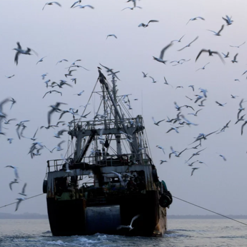Ending Illegal Fishing